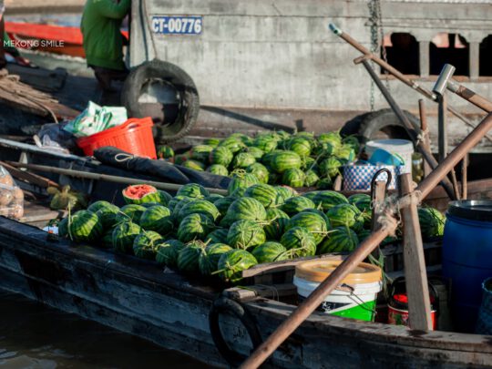 A vendor's boat filled to the brim with a vibrant display of fresh watermelons at the floating market.