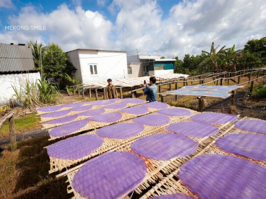 Sheets of delicate rice paper drying on bamboo mats in the sun at a workshop in Can Tho.