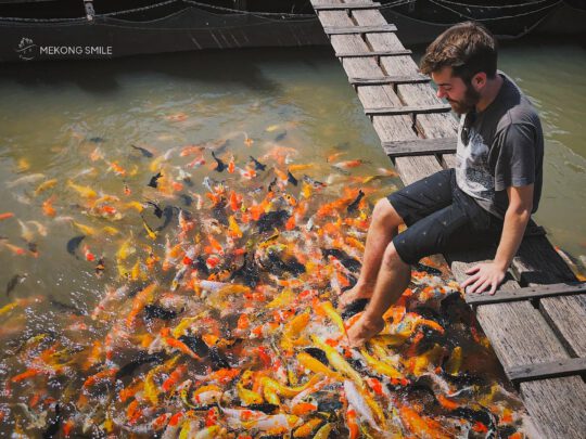 A person getting a novel koi fish massage, where their feet are submerged in a pond with colorful fish.