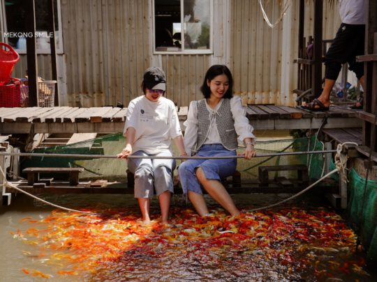 A person with their feet in a pond, showcasing the peaceful and relaxing sensation of a koi fish massage of can tho city tour