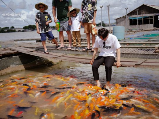 A close-up shot of a person's feet in a pond, highlighting the peaceful and memorable moments of a fish massage.
