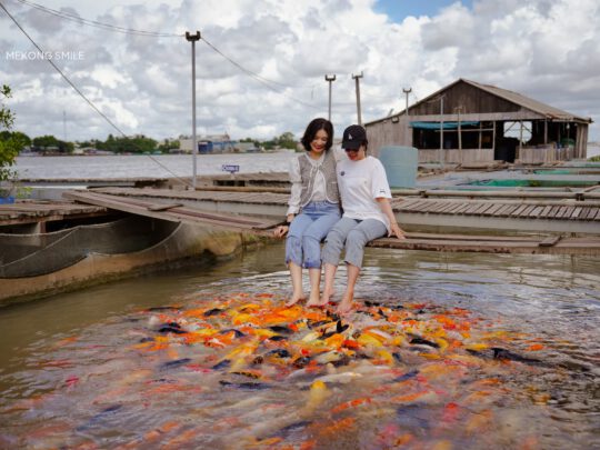 A group of friends or family relaxing together, enjoying the unique experience of a koi fish massage on can tho city tour
