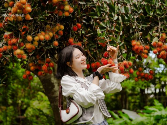 A person smiling and holding a fresh bunch of rambutans in a lush fruit garden on Son Islet.