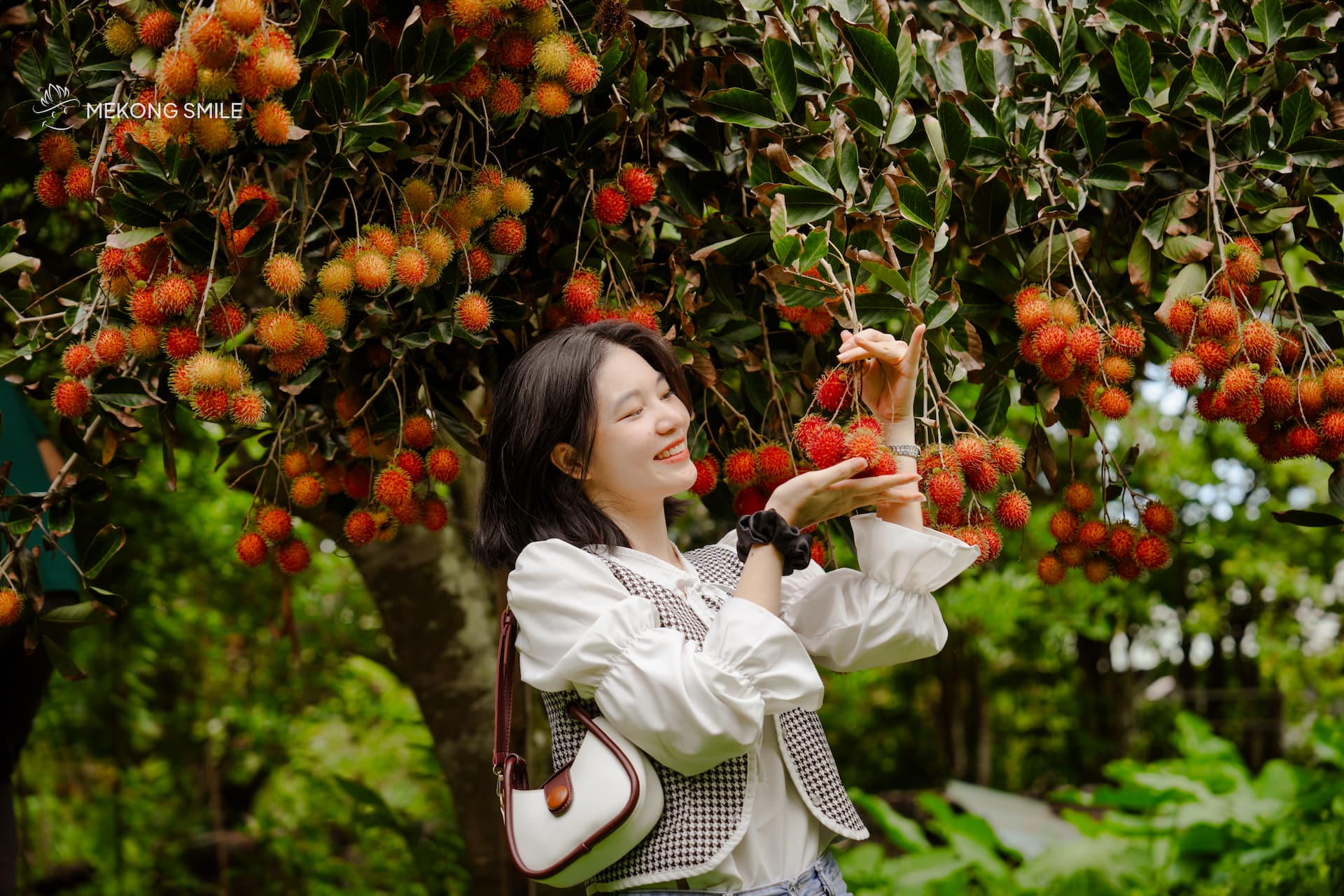 A person smiling and holding a fresh bunch of rambutans in a lush fruit garden on Son Islet.