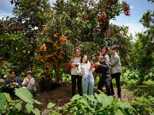 A shot of a fruit garden with tree branches heavy with ripe, delicious fruit on Son Islet.