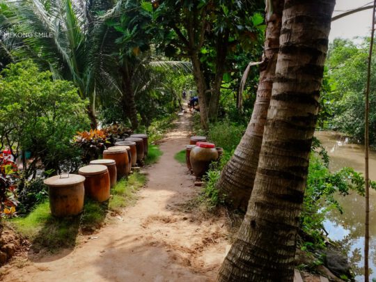 A quiet, scenic village road on Son Islet, perfect for a peaceful bike ride or walk.