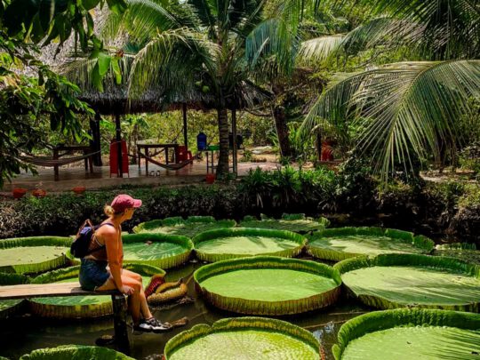 A view of a rustic, peaceful countryside garden on Son Islet in Can Tho tour