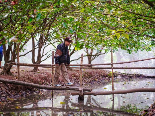 A person carefully crossing a traditional "monkey bridge," a classic rural experience in the Mekong Delta.