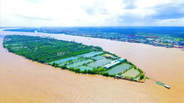 A glance at Son Islet Can Tho – a peaceful eco-community offering true Mekong Delta charm