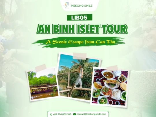 Tourists cycling through An Binh Islet orchards in Vinh Long