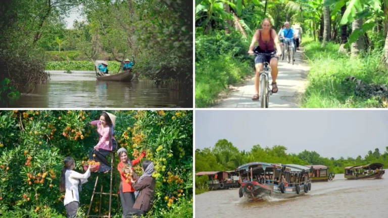 An Binh Islet in Vinh Long with orchards and small waterways