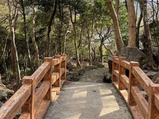 Wooden walkway through the mangrove forest on Ba Island