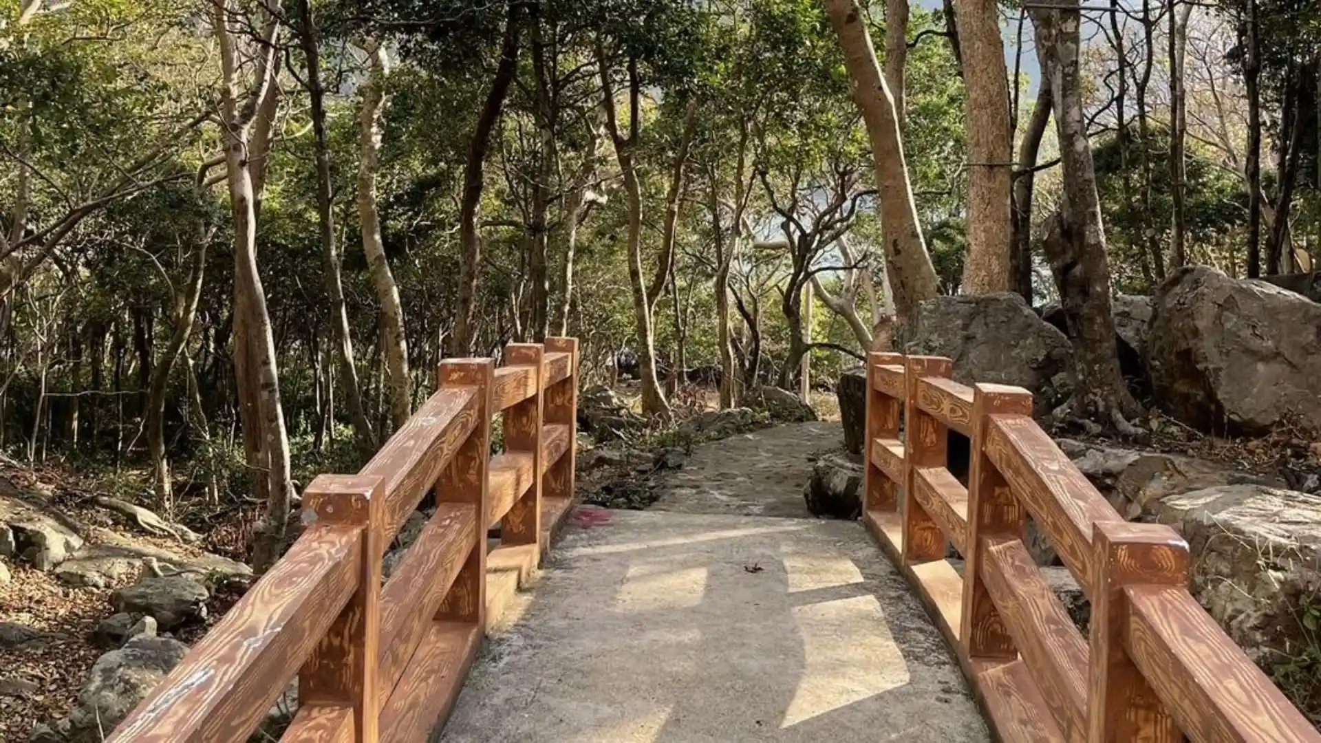 Wooden walkway through the mangrove forest on Ba Island