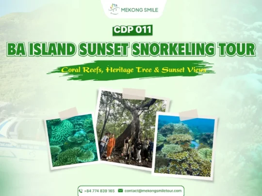 Ba Island sunset snorkeling tour in Con Dao with coral reefs, Heritage Tree and sunset views