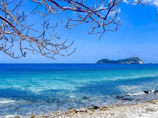 Bai Bang Beach - Con Dao / Source: Su Su