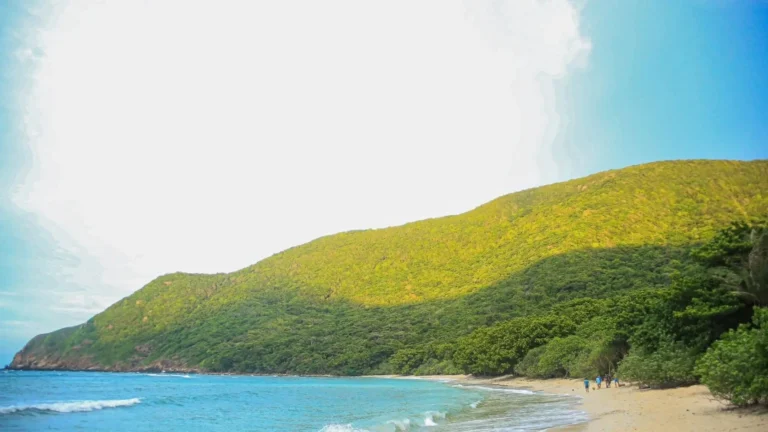 Bay Canh Island coastline and protected natural landscape in Con Dao