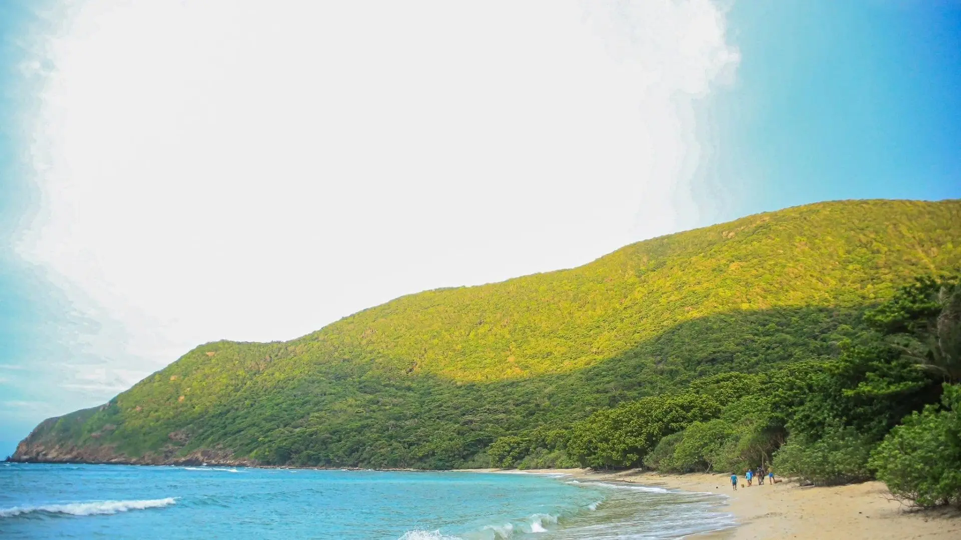 Sea Turtle Season in Con Dao: Nesting, Hatchery Visits and Responsible Travel 6 Bay Canh Island coastline and protected natural landscape in Con Dao