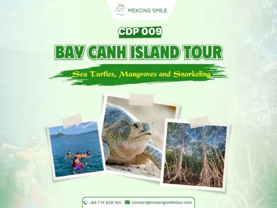 Bay Canh Island Tour in Con Dao with sea turtles, mangroves and snorkeling