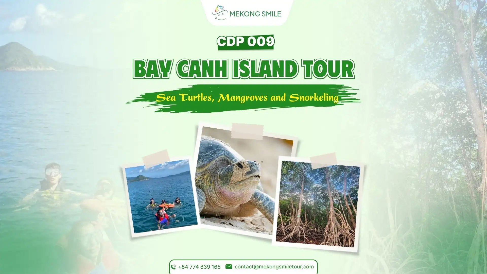 Bay Canh Island Tour in Con Dao with sea turtles, mangroves and snorkeling