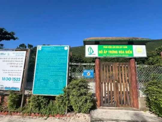 Entrance to the turtle nesting and incubation area on Bay Canh Island