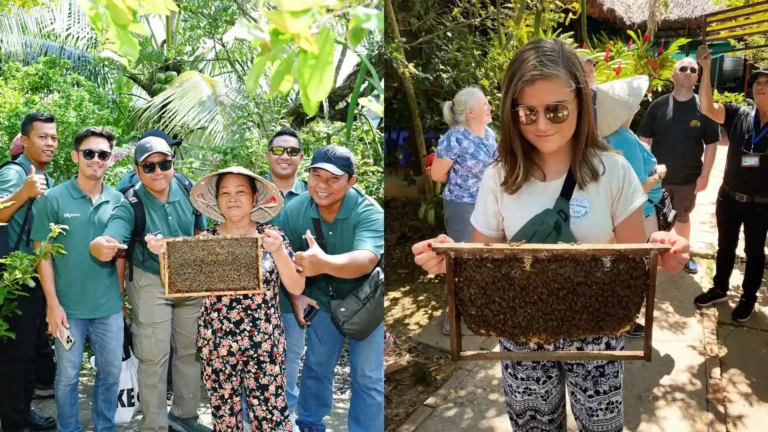 Visiting a local bee farm and tasting fresh honey tea in Ben Tre