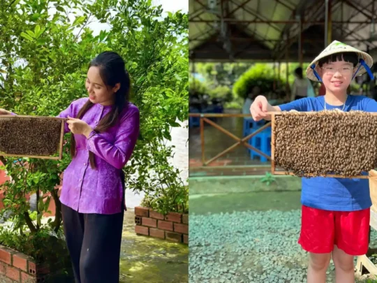 Visit a local bee farm and taste fresh honey tea on My Tho day tour