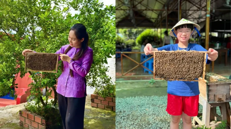Visit a local bee farm and taste fresh honey tea on My Tho day tour