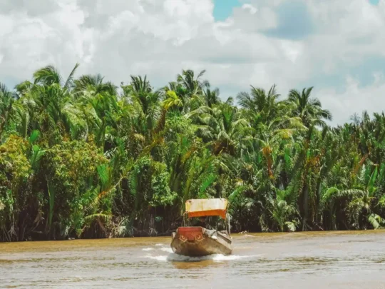 A traditional Mekong Smile tour boat navigating through dense coconut palm trees in a Ben Tre canal.