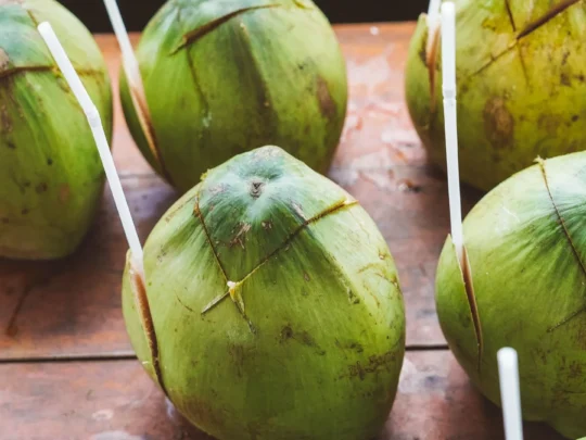 Freshly chopped coconuts with straws, ready for tourists to drink on a Mekong Delta tour