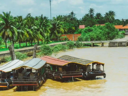 Aerial view of the vast Mekong River on a Ben Tre tour with Mekong Smile, showing lush green coconut groves