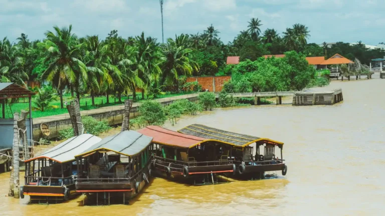 Aerial view of the vast Mekong River on a Ben Tre tour with Mekong Smile, showing lush green coconut groves