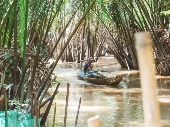 View from a small sampan boat navigating through a very narrow waterway flanked by lush green foliage