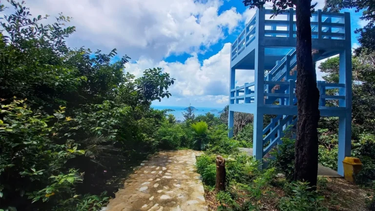 Blue observation tower at So Ray Plantation overlooking forest and ocean in Con Dao.