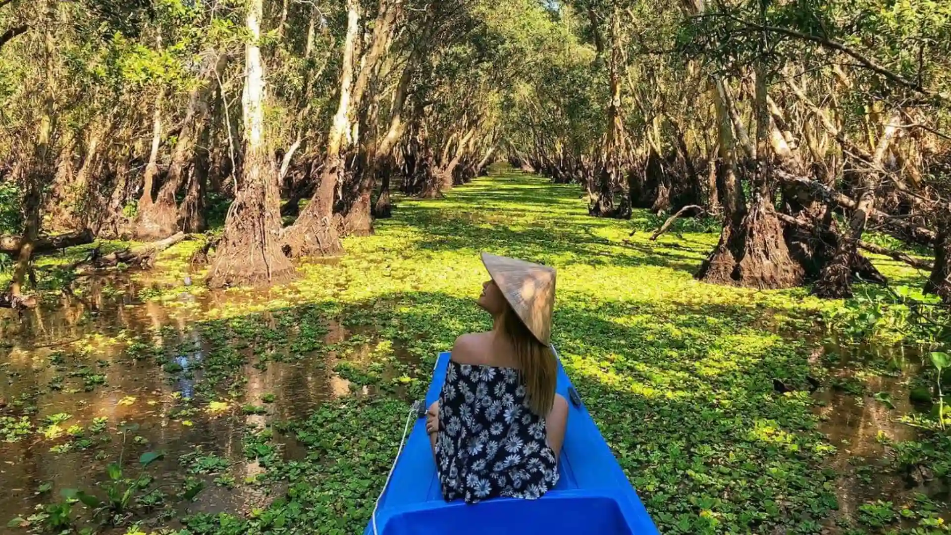 Tra Su Cajuput Forest 2026: Tickets, Boats & When to Visit 40 Boat traveling through a narrow waterway in Tra Su Cajuput Forest