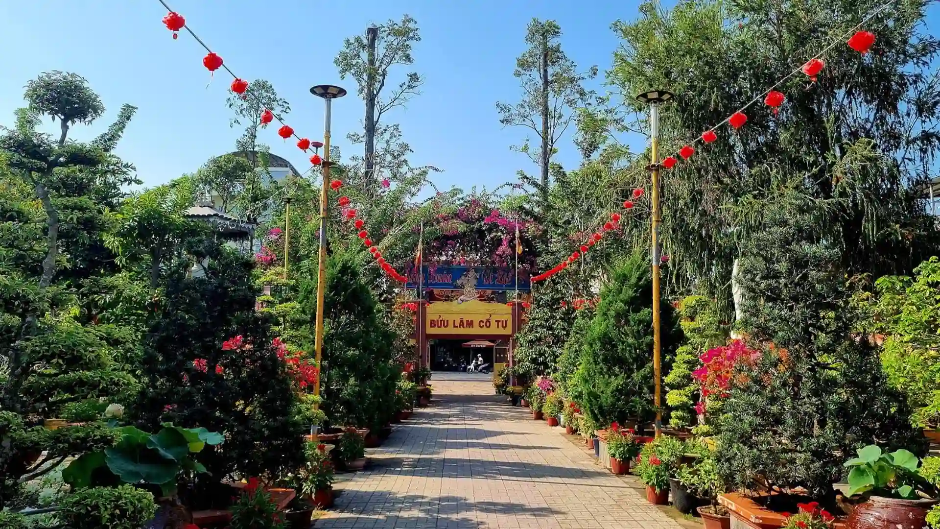 Green tree-lined walkway at Buu Lam Pagoda