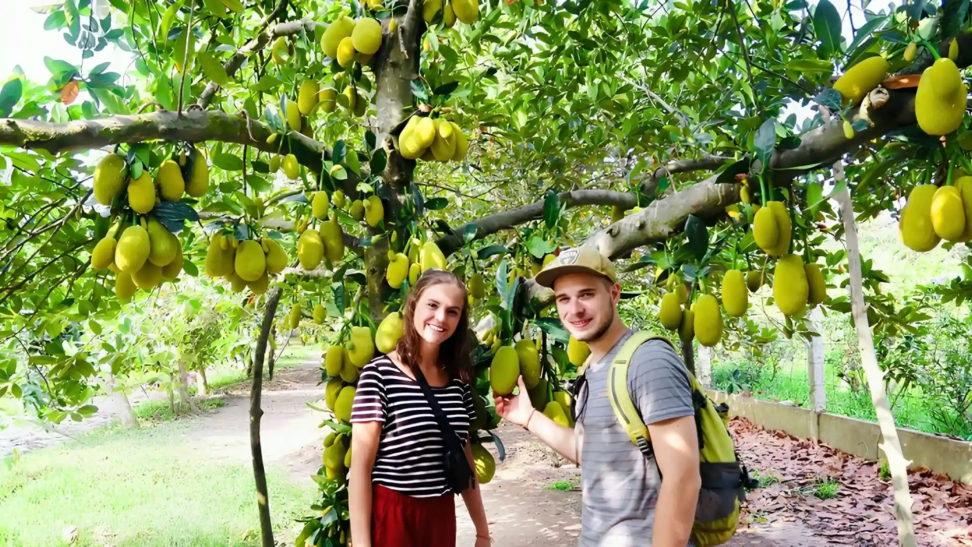 Travelers standing next to large fruits in Cai Mon Orchard Village