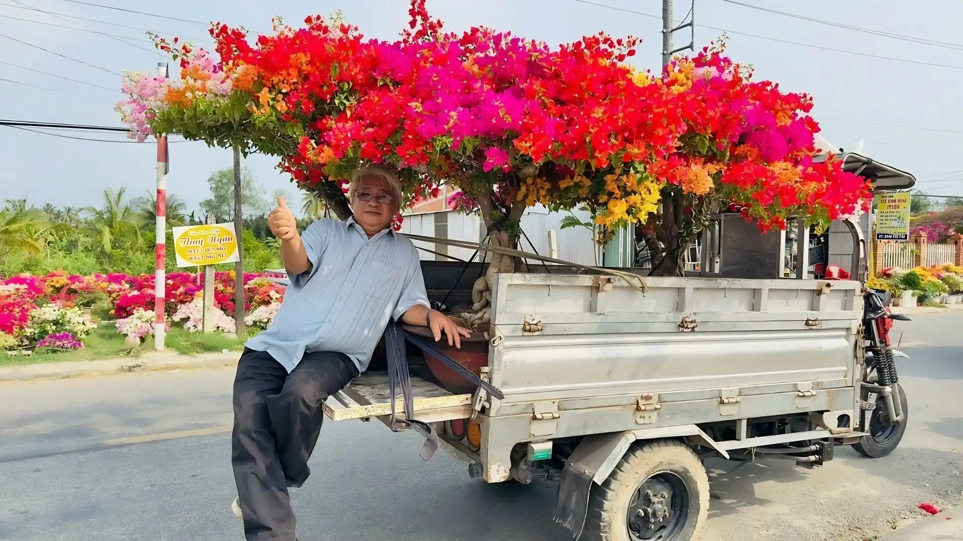 A tourist posing for a photo with a colorful bougainvillea flower cart at Cai Mon Orchard Village