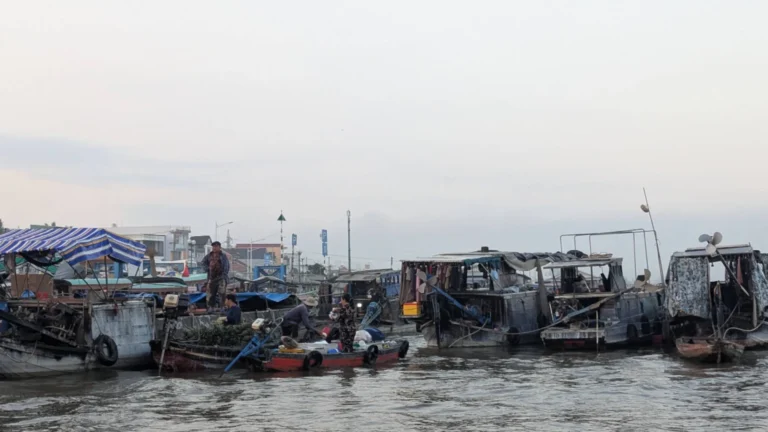 Trading boats gathered at Cai Rang Floating Market in Can Tho