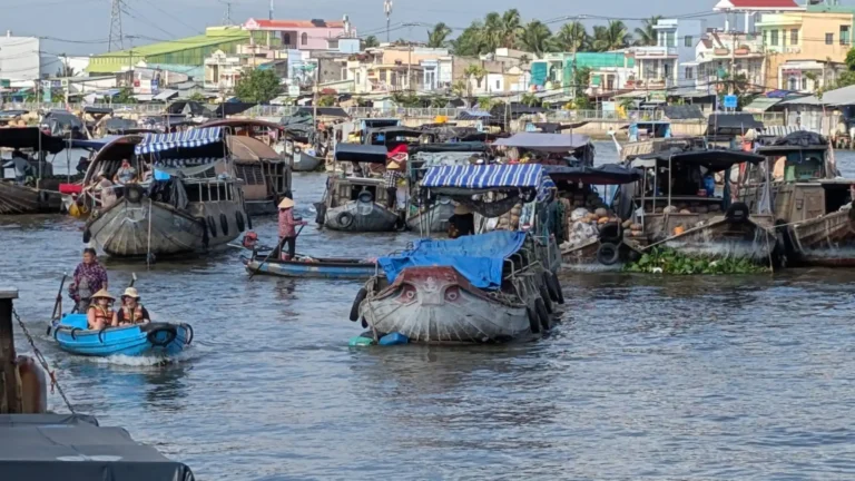 Trading boats gathered at Cai Rang Floating Market in Can Tho