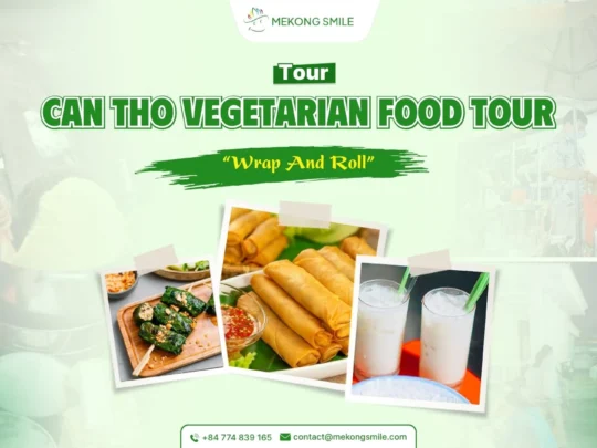 A beautifully arranged plate of Vietnamese vegetarian dishes, highlighting the plant-based options