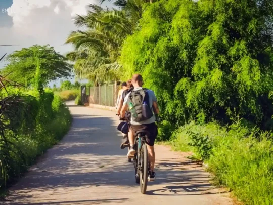 Gentle sunlight and a peaceful atmosphere on a village road, perfect for a relaxed bike ride.