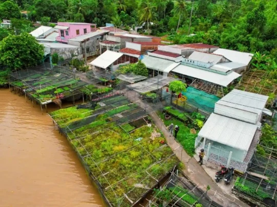 A scenic view of the Seeding Nursery Village, showcasing the unique agricultural landscape on the tour.
