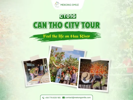 A vibrant photo of a pagoda or a bustling street in Can Tho city, representing an urban exploration tour