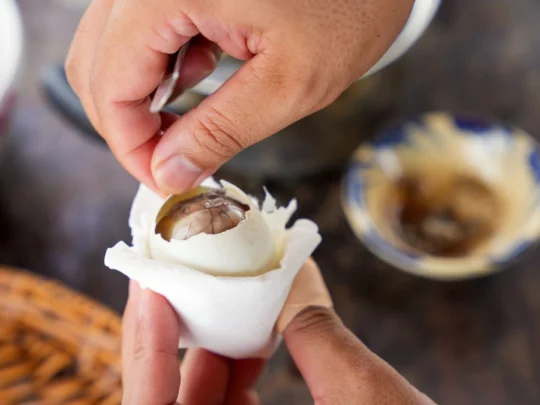 A local dish known as "balut," or fertilized duck egg, a unique and famous street food in Vietnam.