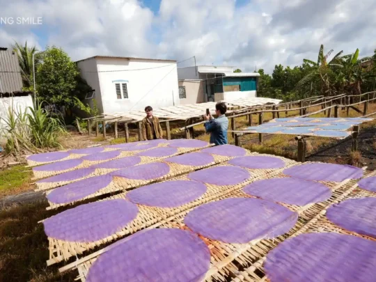 Sheets of fresh rice noodle vermicelli drying on racks in the sun at a traditional workshop in Can Tho.