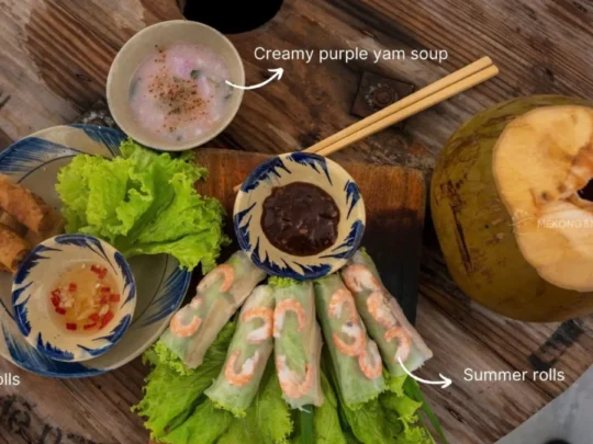 A platter featuring classic Vietnamese dishes: chả giò (fried spring rolls), canh khoai tím (taro soup), and gỏi cuốn (fresh spring rolls).