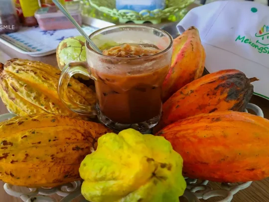 various products made from cacao, such as homemade chocolate or cacao wine, during Cai Rang floating market tour