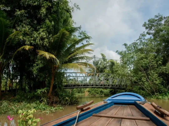 The view of lush, green tropical foliage and water palms lining the banks of a tranquil small canal