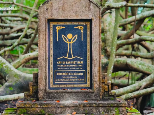A stone monument, documenting a historical event or person at the Gan Giua site.