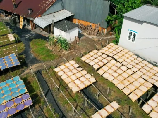 Traditional rice paper sheets drying in the sun on bamboo mats at a local workshop in the Mekong Delta.